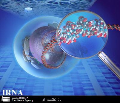 ایران در ردیف 16 کشور برتر جهان در تولید علم