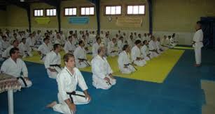 سرپرست فدراسیون کاراته:چند مربی از چهارمحال و بختیاری به اردوی تیم ملی دعوت می‌شوند
