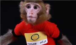 کاوشگر ایرانی با موفقیت به فضا پرتاب شد/دومین میمون فضانورد ایرانی سالم به زمین بازگشت