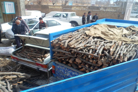 چوب حراج به درختان جنگلی شهرستان کیار، توقیف دو محموله قاچاق در کیار
