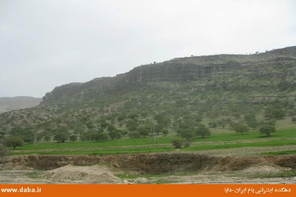 اراضی مورد مناقشه در روستای دورک جزء اراضی ملی هستند