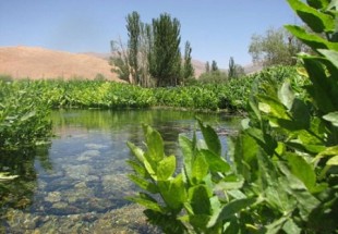 چشمه دیمه؛ یکی از گواراترین آب های جهان