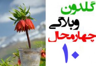 قاسم سلیمانی در حدیث دیگران در گلدون وبلاگی چهارمحال و بختیاری