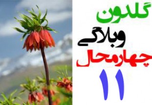 طرح مطالبات مردمی از صداوسیما در گلدون وبلاگی چهارمحال و بختیاری