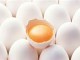 ایران دهمین تولیدکننده تخم‌مرغ جهان/ سالی ۹۱۲ هزار تن تخم‌مرغ در کشور تولید می‌شود