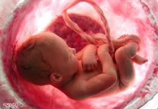 تعيين جنسيت جنين از طريق نمونه خون مادر در هفته نهم بارداري
