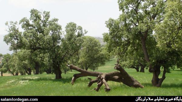 عکس هاي ناب و ديدني از طبيعت بکر لردگان