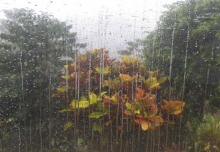 بارندگی زراعی شهرستان سامان به 173 میلی‌متر رسیده
