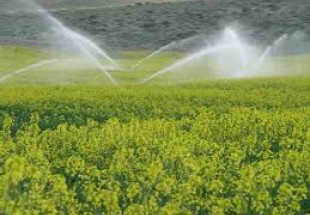 کاهش مصرف آب کشاورزي به روش آبياري زيرسطحي