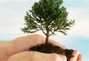 کاشت ۲۰۰ اصله درخت در حوزه مقاومت بسیج هفشجان