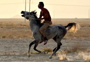 برگزاري مسابقات اسب سواري در لردگان