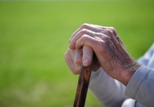67 درصد سرپرست خانوارهاي تحت حمايت کميته امداد بروجن سالمند هستند