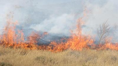 آتشسوزي در کمين مراتع شهرستان کيار، مردم و مسئولان آماده باشند