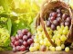 ترکیبات انگور موجب نابودی سلول های سرطان روده می شود