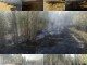 درختان حاشيه رودکيار خاکستر شدند/افزایش وسعت آتش سوزی به دلیل عدم حضور به موقع نیروهای آتشنشانی
