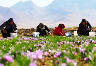 فعاليت 10 صندوق خرد زنان روستايي در اردل