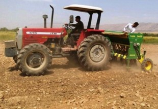 کشت 100 هکتار کلزا در مزارع آليکوه