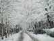 روياي يک زمستان!/آدم برفي،واژه اي ناملموس براي دهه نودي ها/کاهش 80درصدي بارندگي در بام ايران