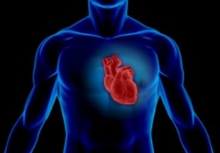 نقش استرس در بروز دردهای قلبی/درد قفسه سینه را جدی بگیرید