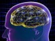 آسیب مغزی در نوجوانی ریسک آلزایمر را افزایش می دهد