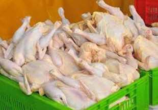 توزیع روزانه بیش از ۶۵ تن مرغ گرم در ایام ماه رمضان در بازار چهارمحال و بختیاری