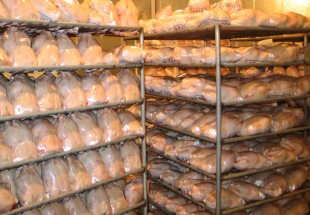 ذخیره‌سازی ۱۷۰ تن گوشت مرغ در چهارمحال و بختیاری