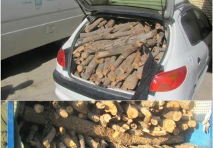 چهار تن چوب جنگلي قاچاق در شهرستان كيار کشف و ضبط شد
