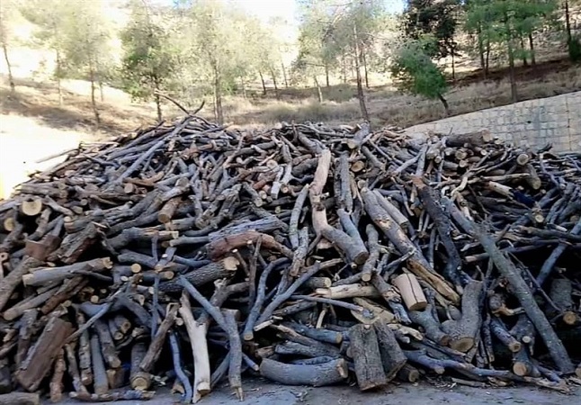 کشف ۱۰ تن چوب جنگلي قاچاق در شهرستان لردگان