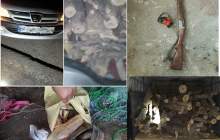 دستگیری هفت متخلف زیست محیطی در شهرستان کیار