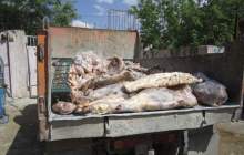 معدوم‌سازی بیش از 6 هزار کیلوگرم گوشت آلوده در بروجن + تصاویر