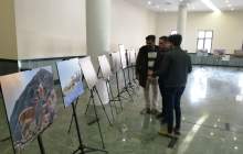 نمایشگاه عکس حیات وحش چهارمحال و بختیاری در شهرکرد افتتاح شد