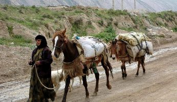 تغيير زمان برگزاري جشنواره ملي کوچ در استان چهارمحال و بختياري 