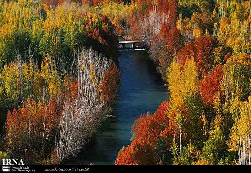 سرزمینی در خمره رنگرزی پاییز