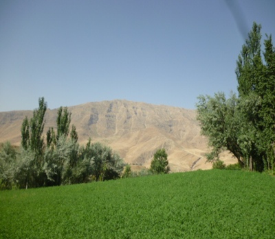 گزارش تصویری طبیعت زیبای تابستانی استان چهارمحال و بختیاری  <img src="/images/picture_icon.png" width="16" height="16" border="0" align="top">