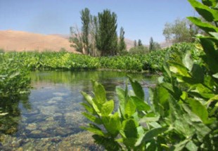 نماز جماعت در چشمه تفریحی دیمه برگزار می‌شود