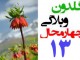 چرا فوتبال چهارمحال و بختیاری در ورزش کشور جایگاهی ندارد؟