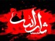 چرا به امام حسين ـ عليه السّلام ـ ثار الله مي‌گويند؟