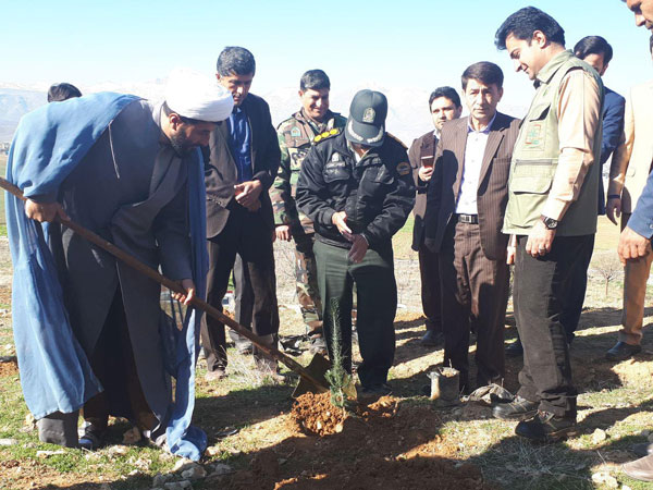 غرص 2000 نهال بلوط در شهرستان لردگان