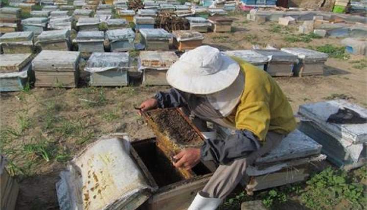 زمینه اشتغال برای  ۴۱۰۰ مددجوی کمیته امداد چهارمحال و بختیاری ایجاد شد