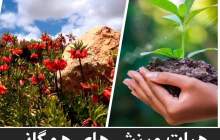 کسب مقام سوم هیات ورزش های همگانی استان چهارمحال و بختیاری در نخستین فراخوان ایده ها و طرح های مرتبط