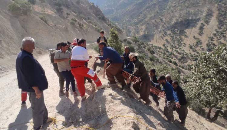 سقوط وحشتناک پژو در دره روستای گوزلک