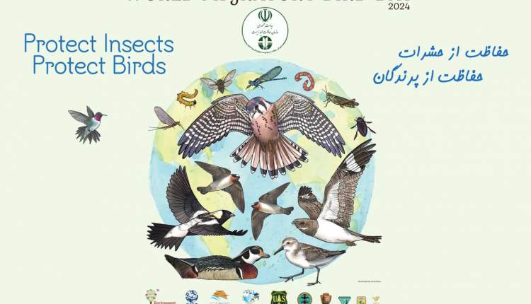 حفاظت از حشرات، حلقه زنجیره حفاظت از پرندگان