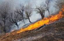 نقش اساسی انسان در اکثر آتش‌سوزی‌های جنگل و مراتع