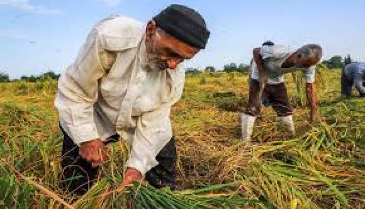 ۳۰۰ واحد تولیدی در چهارمحال‌وبختیاری فعال است