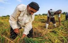 ۳۰۰ واحد تولیدی در چهارمحال‌وبختیاری فعال است